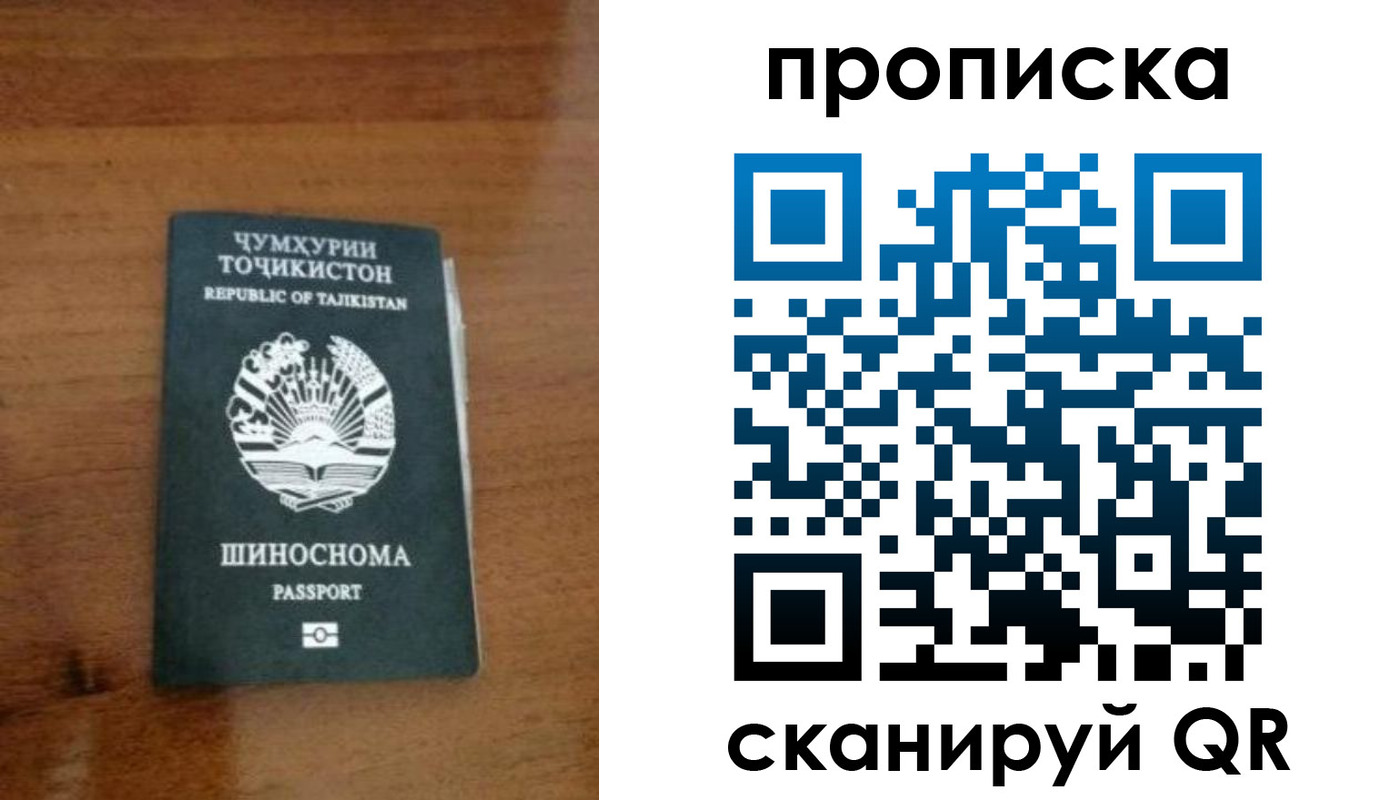 прописка законно в Кингисеппе